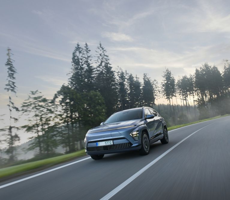 Hyundai BluelinkConnect Fahrer und Fahrzeug